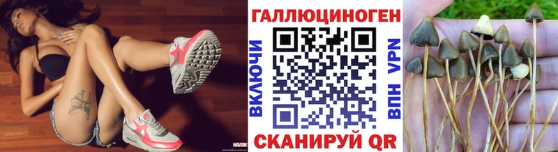 Галлюциногенные грибы Psilocybine cubensis  купить наркотик  Кировград 